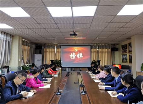 向榜樣看齊，做合格黨員