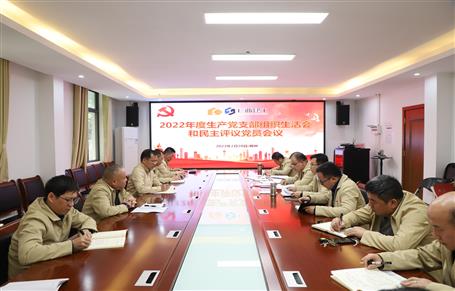 廖立波、唐峰、何勇以普通黨員身份參加所在黨支部2022年度組織生活會(huì)